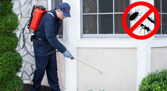 Yağcılar Böcek ve Haşere İlaçlama böcek ilaçlama ve haşere kontrolü — ilaclama-tr.com